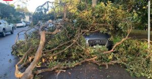 Best Sheds for Sydney and New South Wales - Audi hit by storm