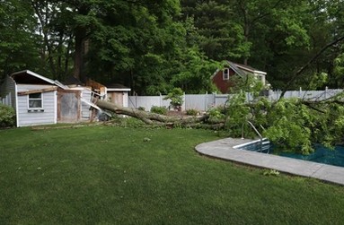storm damage to shed