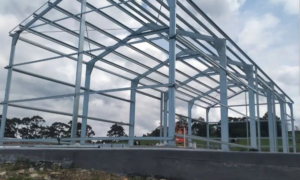 Shed Buying Guide